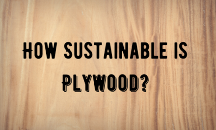 How Sustainable Is Plywood?