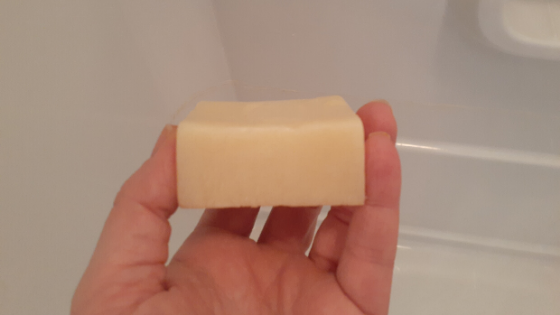 J.R. Liggetts Original Shampoo Bar Review – With Pictures